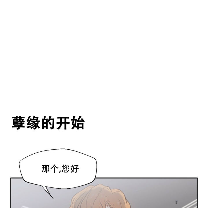 漫画《不许动》在线阅读_不许动漫画（无弹窗）