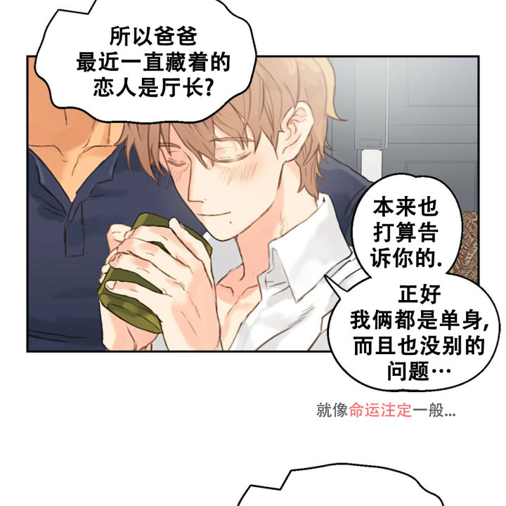 漫画《不许动》在线完整版阅读_不许动漫画（无弹窗）