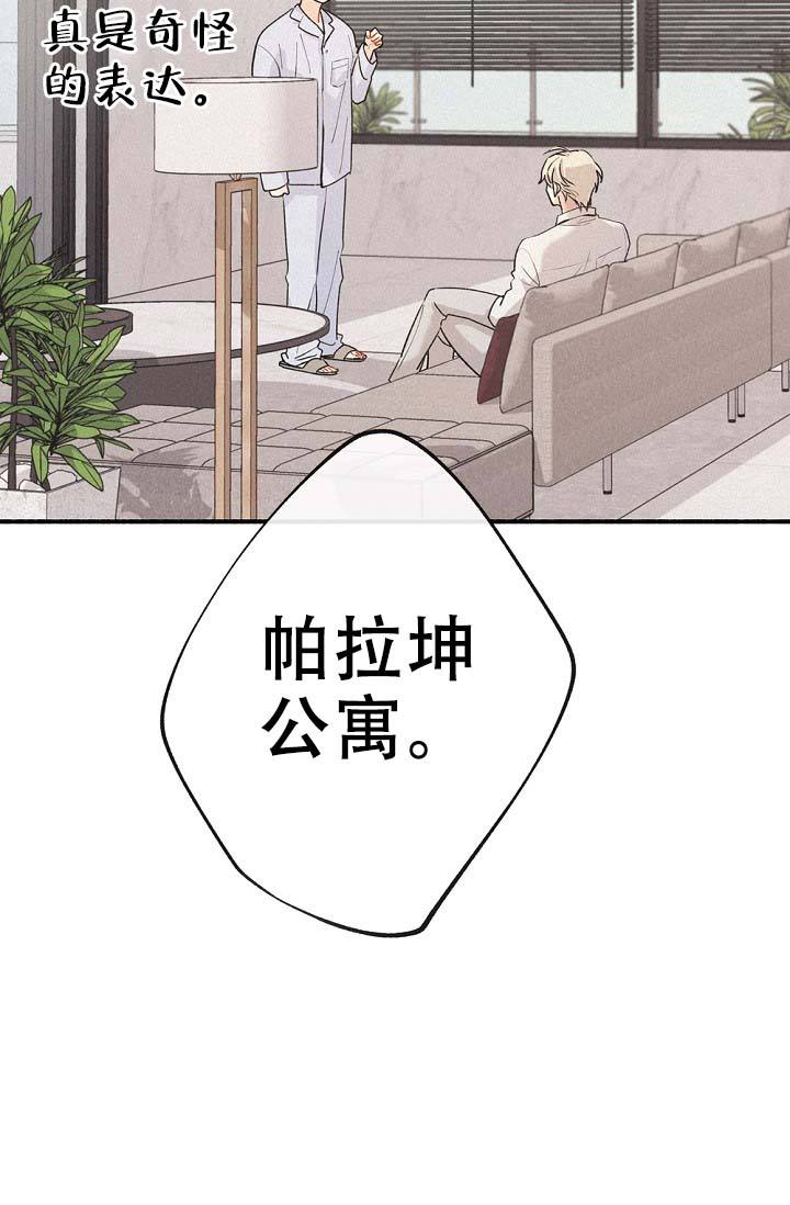 漫画《摩尼珠》在线完整版阅读_摩尼珠漫画（无弹窗）