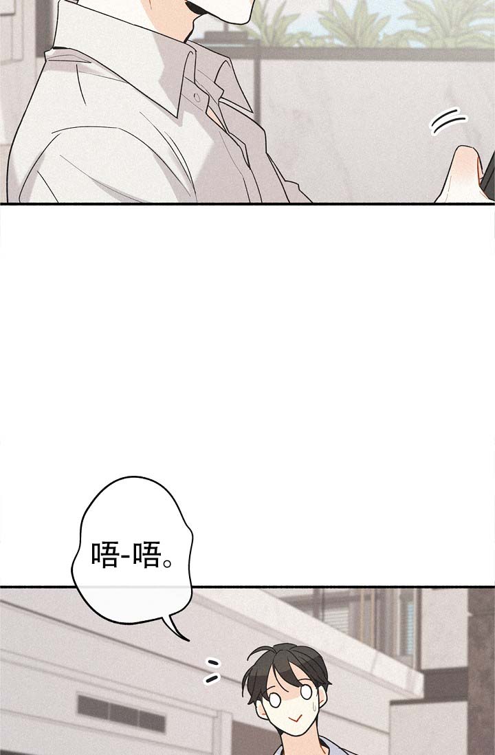 漫画《摩尼珠》在线完整版阅读_摩尼珠漫画（无弹窗）