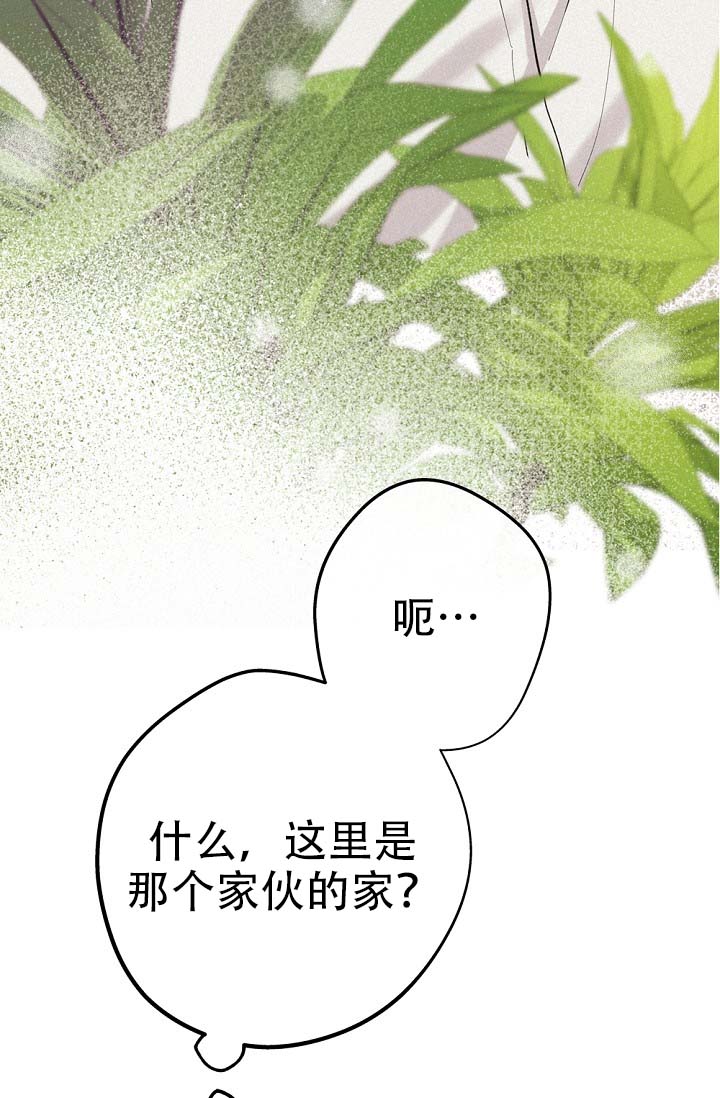 漫画《摩尼珠》在线完整版阅读_摩尼珠漫画（无弹窗）