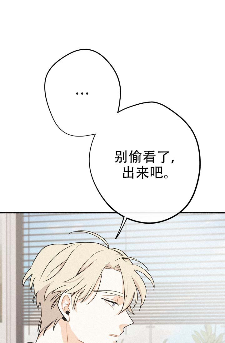 漫画《摩尼珠》在线完整版阅读_摩尼珠漫画（无弹窗）