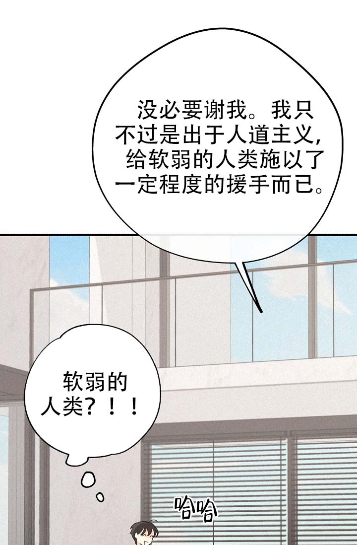 漫画《摩尼珠》在线完整版阅读_摩尼珠漫画（无弹窗）