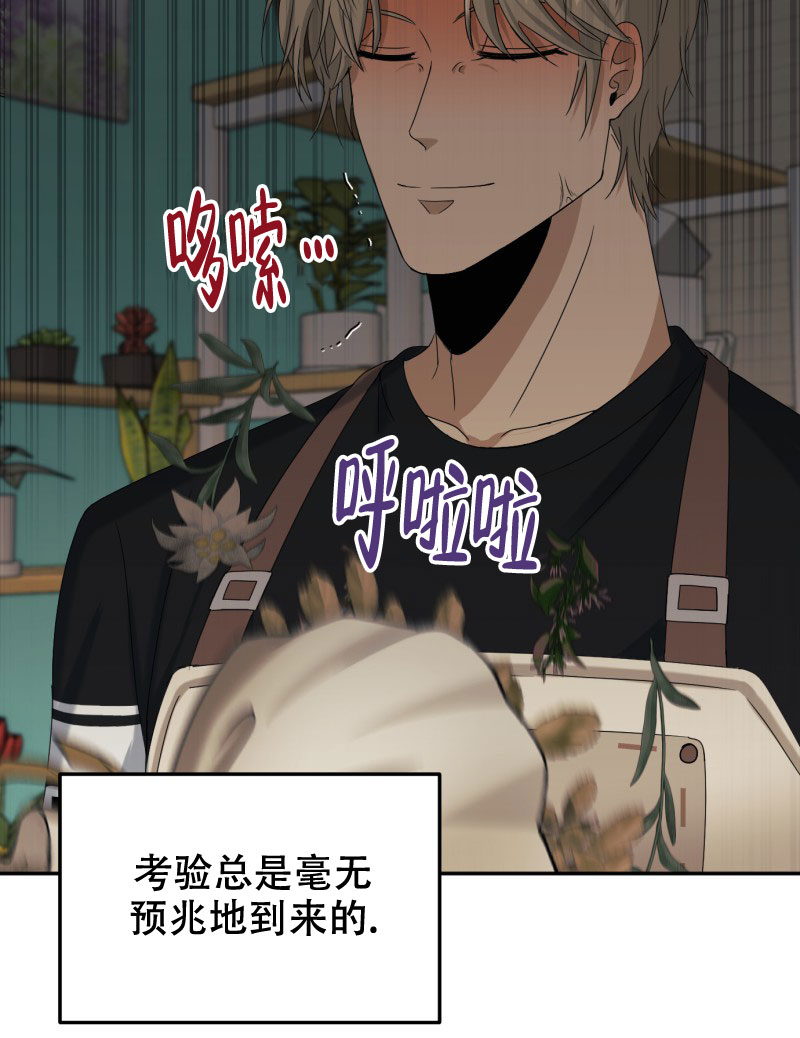 漫画《老板的鲜花》在线完整版阅读_老板的鲜花漫画（无弹窗）