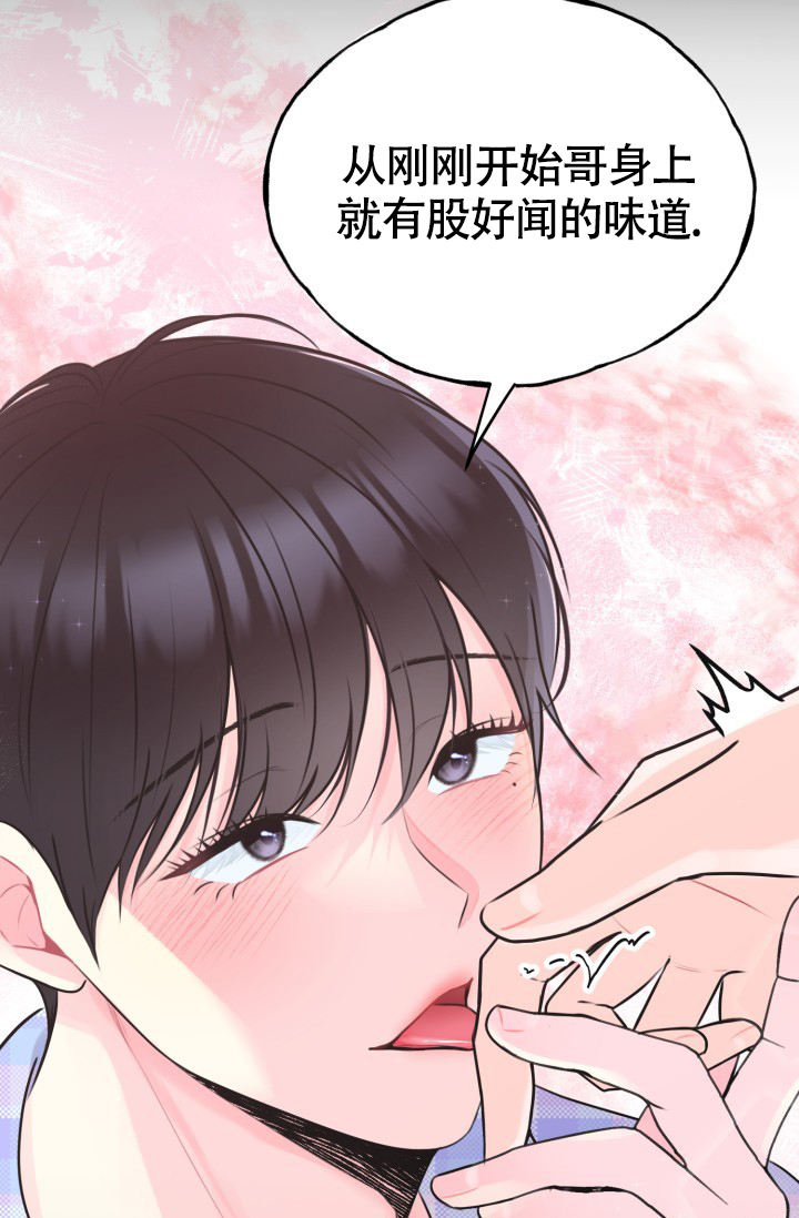 西柚《信息素宝贝》漫画在线下拉_信息素宝贝漫画浮云（下拉式阅读）