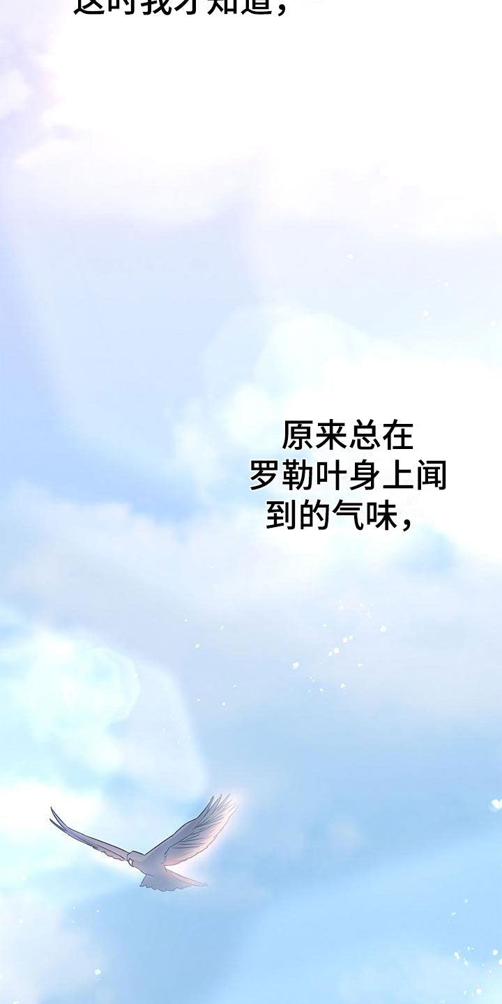 漫画《缺失的记忆》在线完整版阅读_缺失的记忆漫画（无弹窗）