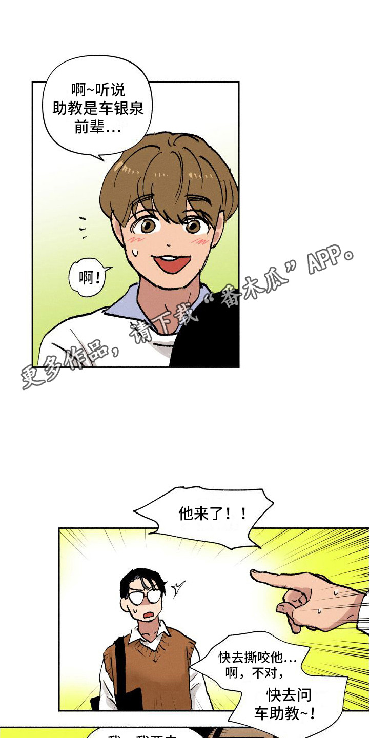 西柚《社牛学弟》漫画在线下拉_社牛学弟漫画浮云（下拉式阅读）