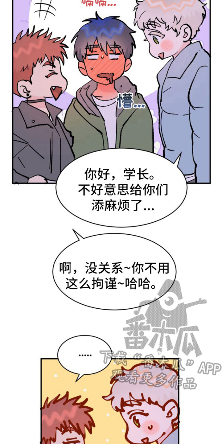 爱是心之所向