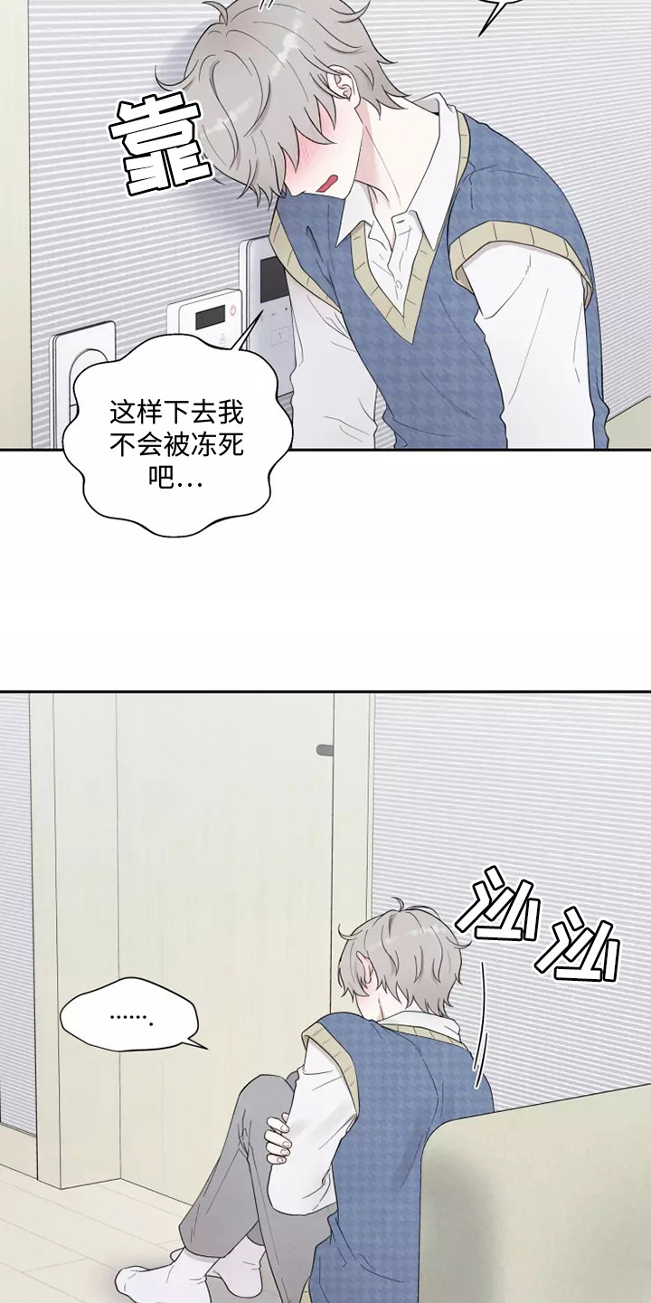 漫画《缘分注定》在线完整版阅读_缘分注定漫画（无弹窗）