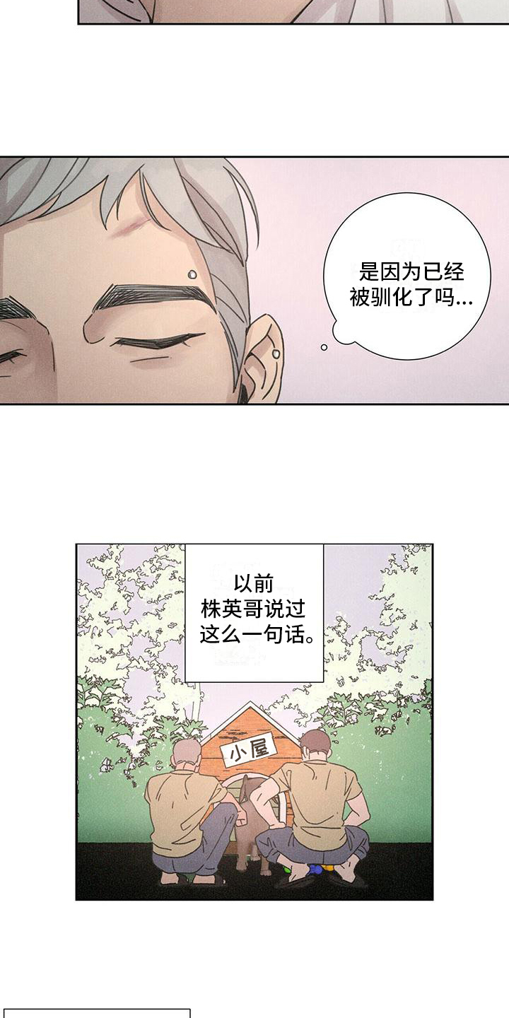 爱情深渊