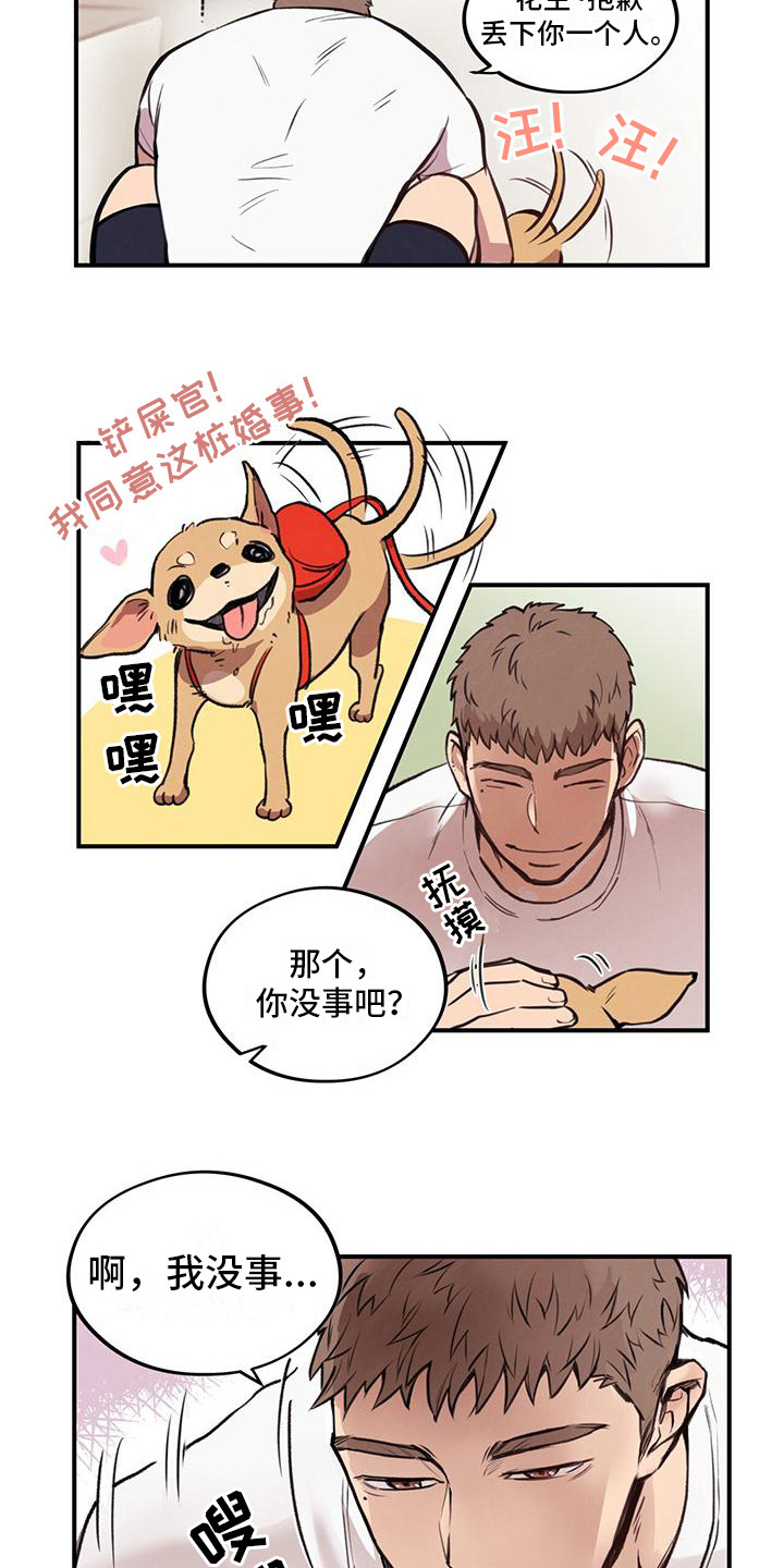 漫画《蜂蜜熊》在线完整版阅读_蜂蜜熊漫画（无弹窗）