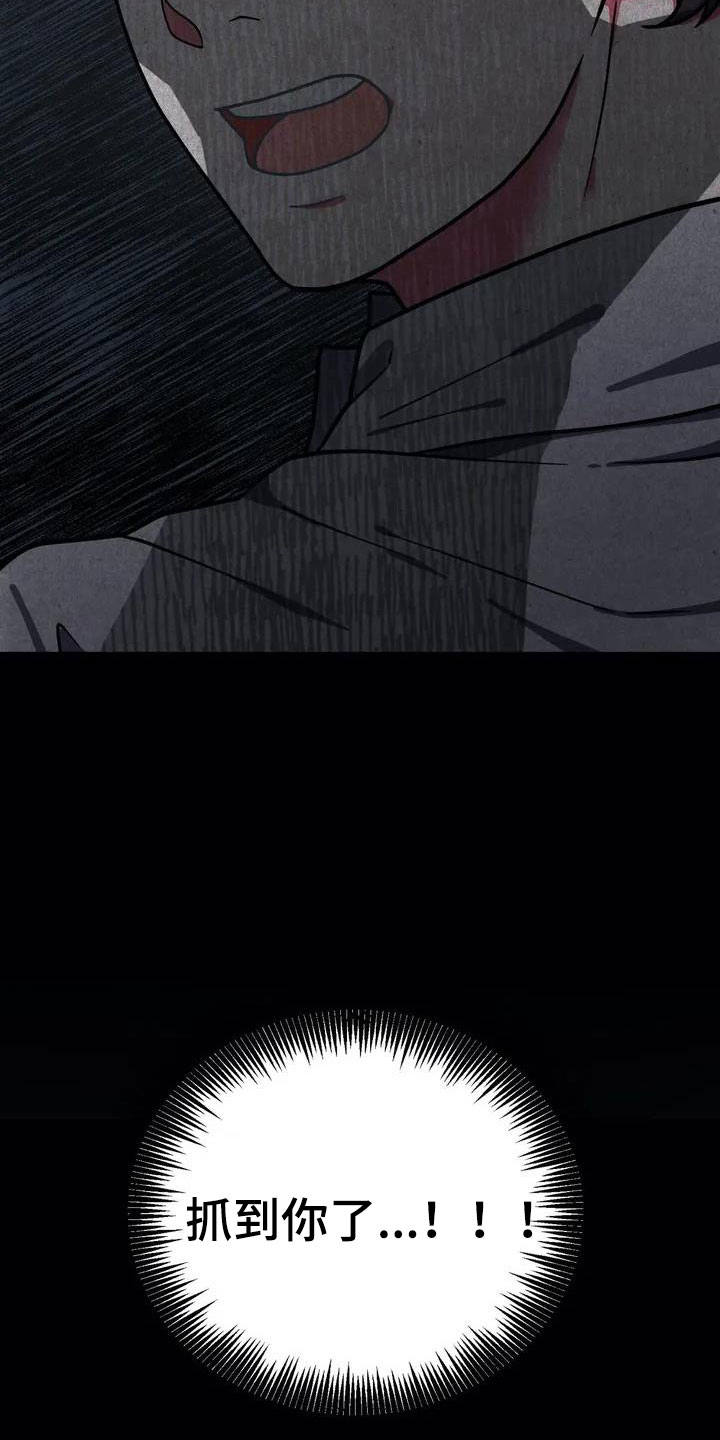 漫画《共犯假象》在线完整版阅读_共犯假象漫画（无弹窗）