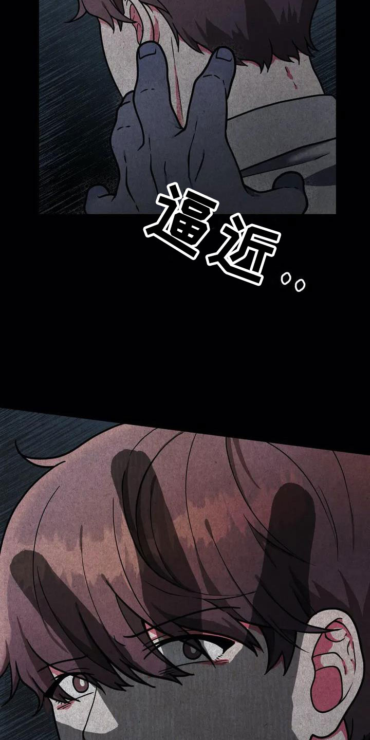 漫画《共犯假象》在线完整版阅读_共犯假象漫画（无弹窗）