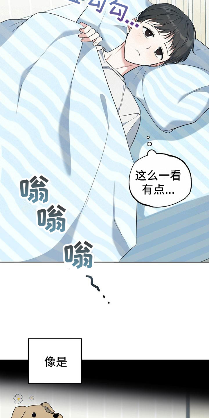 西柚《温情之森》漫画在线下拉_温情之森漫画浮云（下拉式阅读）