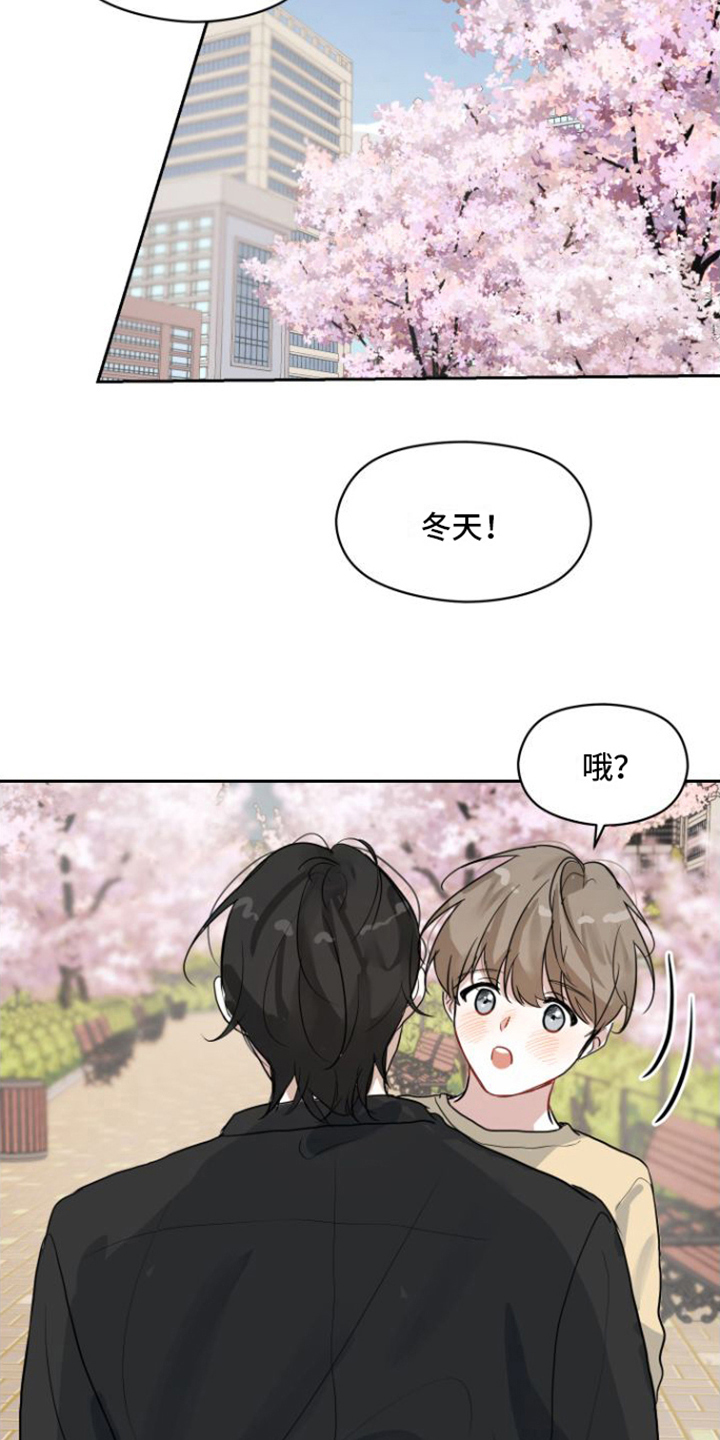 漫画《恋爱再临》在线完整版阅读_恋爱再临漫画（无弹窗）