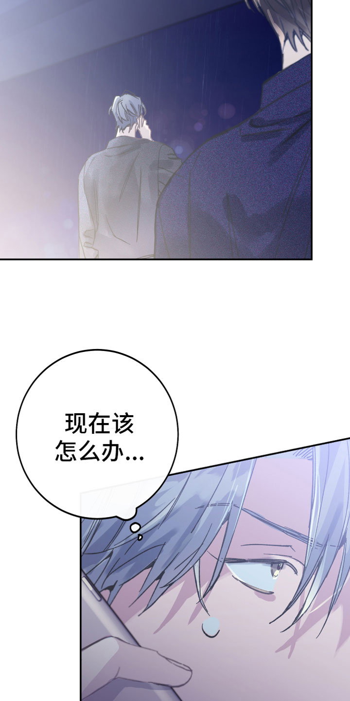 漫画《竹马攻略》在线完整版阅读_竹马攻略漫画（无弹窗）