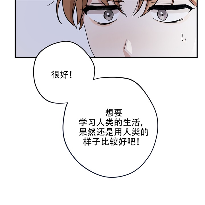 漫画《外星球王子的爱心》在线阅读_外星王子的心动 逃婚王子漫画（无弹窗）