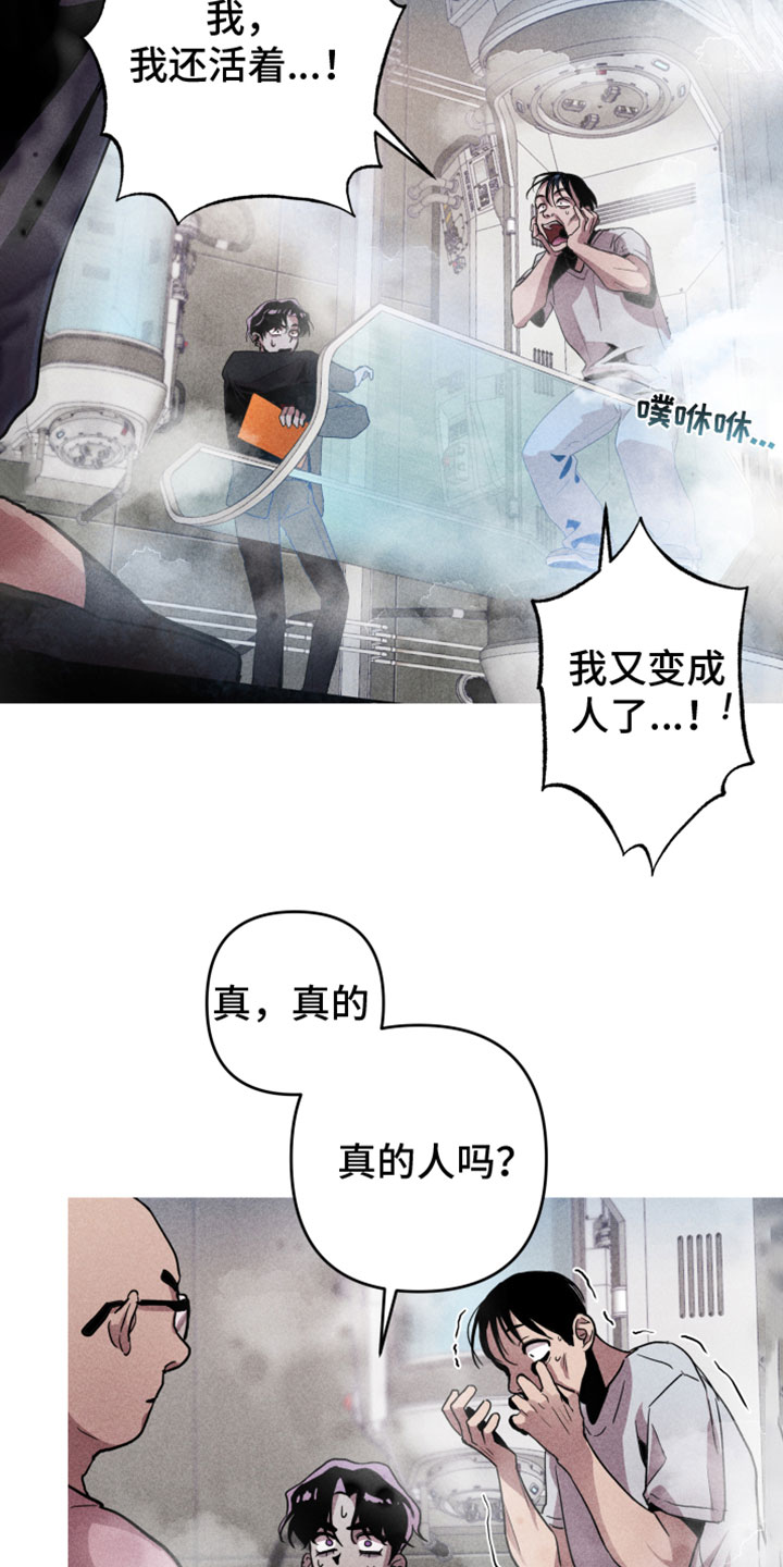 漫画《相杀》在线完整版阅读_相杀漫画（无弹窗）