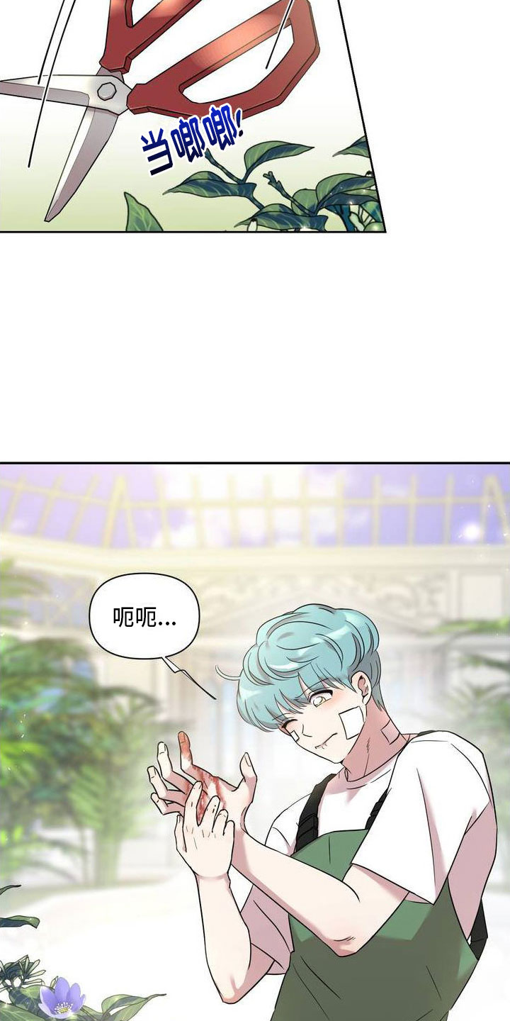 漫画《花园的秘密》在线完整版阅读_花园的秘密漫画（无弹窗）