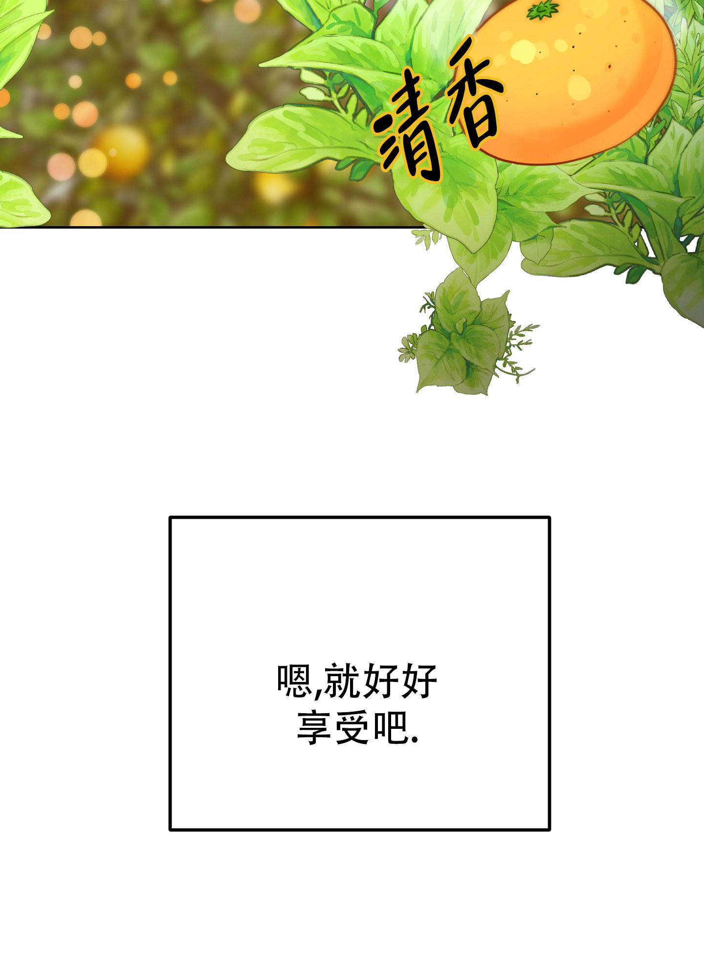 漫画《兔子与猫》在线完整版阅读_兔子与猫漫画（无弹窗）