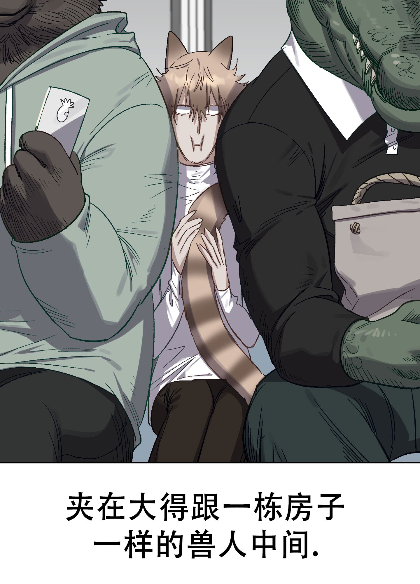 漫画《兔子与猫》在线完整版阅读_兔子与猫漫画（无弹窗）