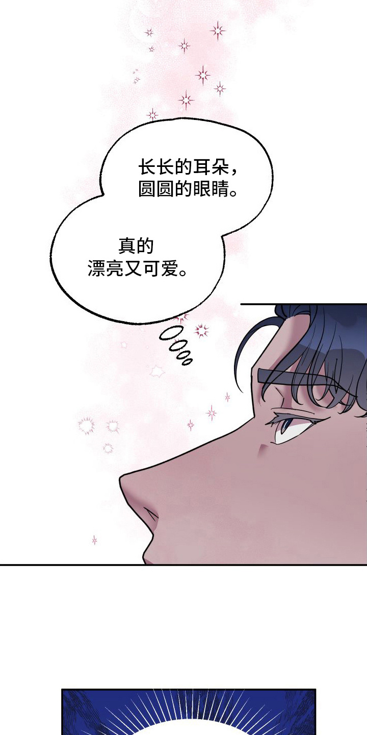 西柚《海兔新娘》漫画在线下拉_海兔新娘漫画浮云（下拉式阅读）