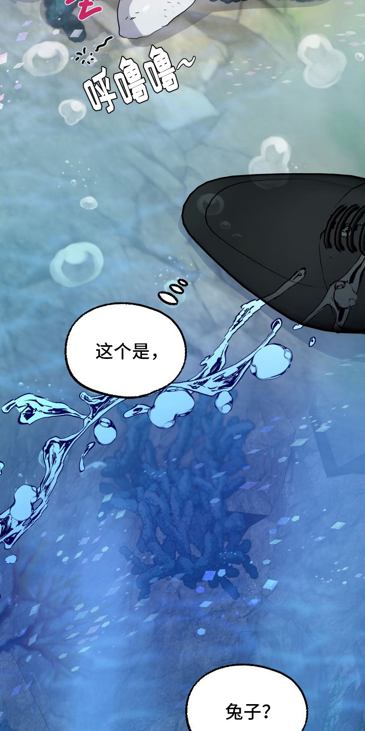 西柚《海兔新娘》漫画在线下拉_海兔新娘漫画浮云（下拉式阅读）