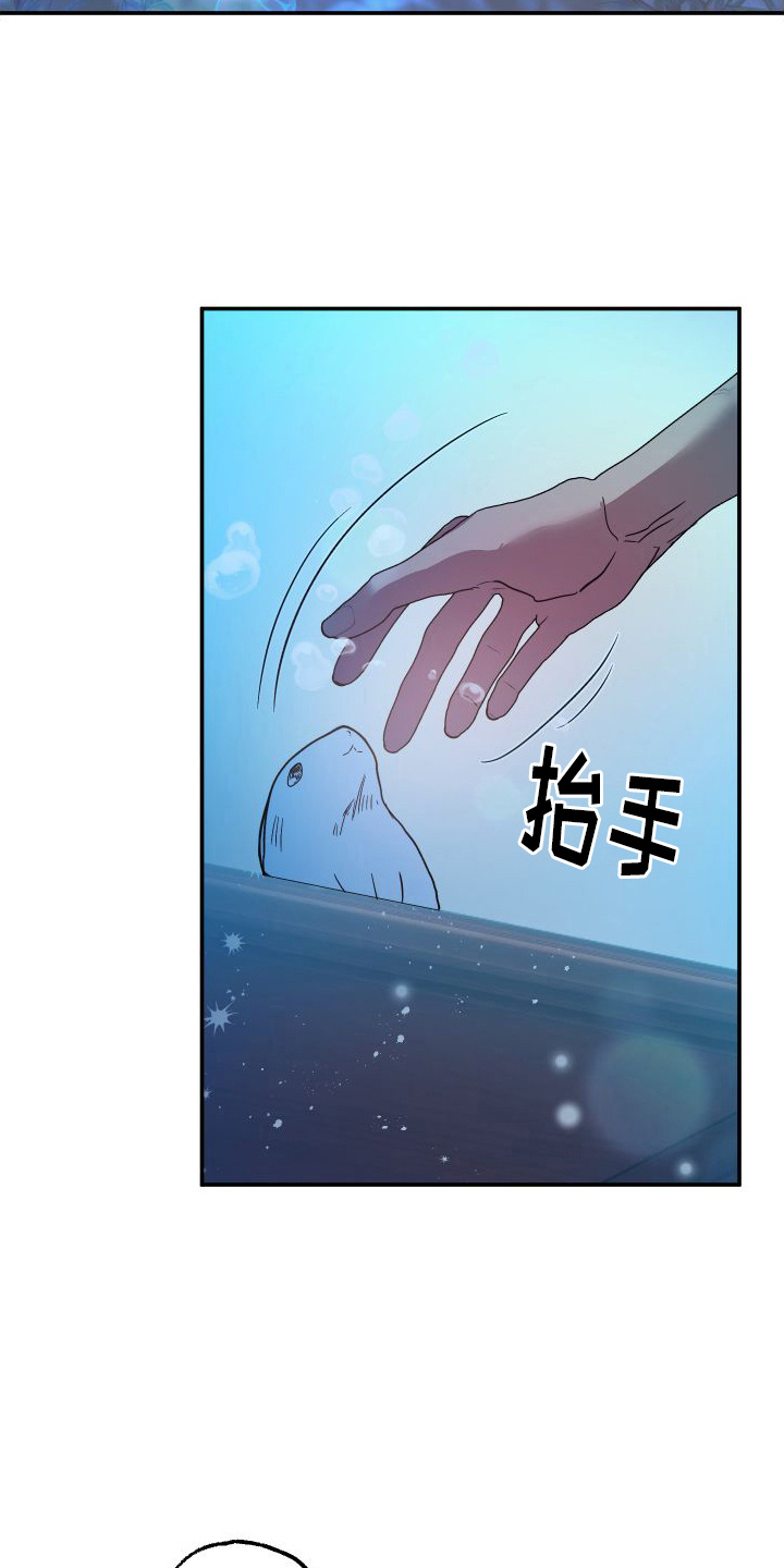 西柚《海兔新娘》漫画在线下拉_海兔新娘漫画浮云（下拉式阅读）