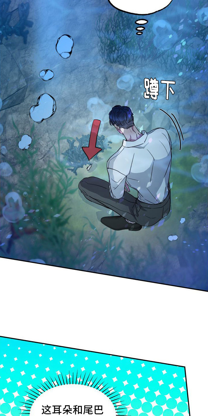 西柚《海兔新娘》漫画在线下拉_海兔新娘漫画浮云（下拉式阅读）