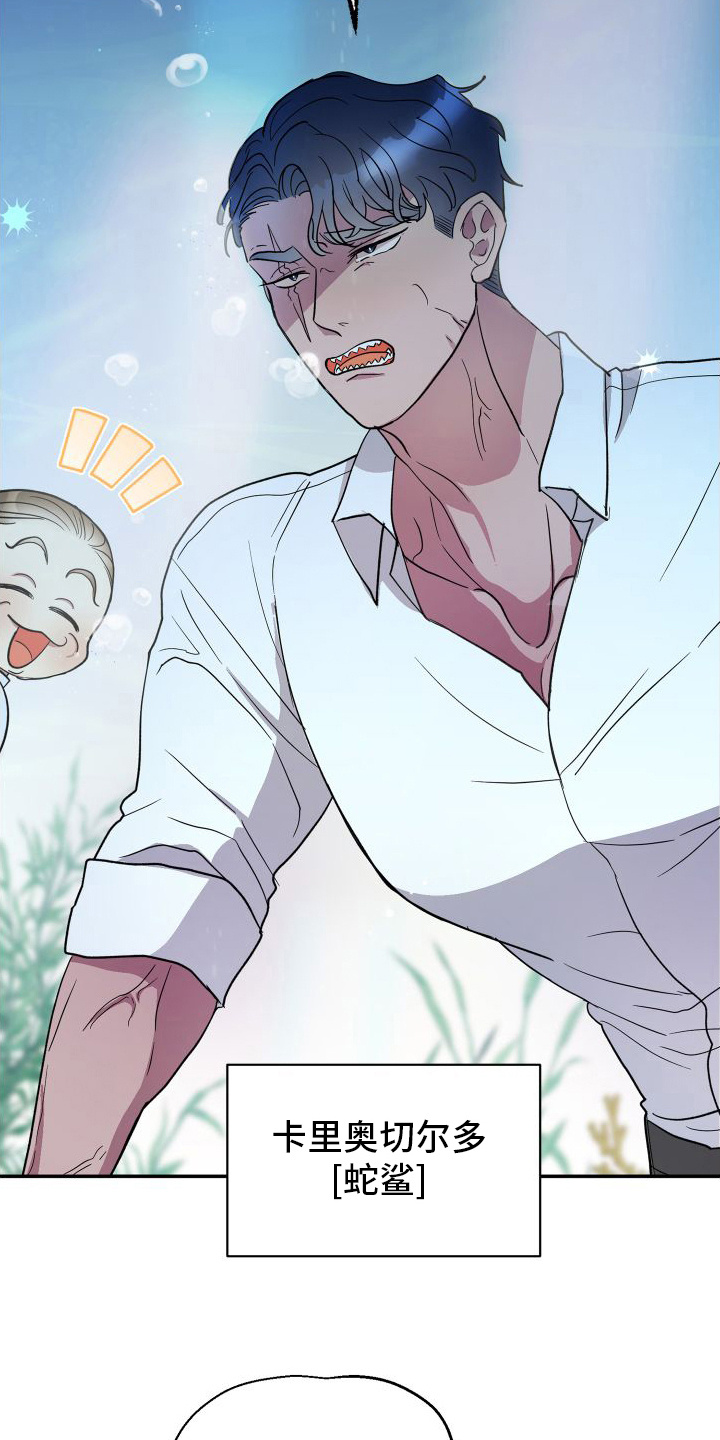 西柚《海兔新娘》漫画在线下拉_海兔新娘漫画浮云（下拉式阅读）