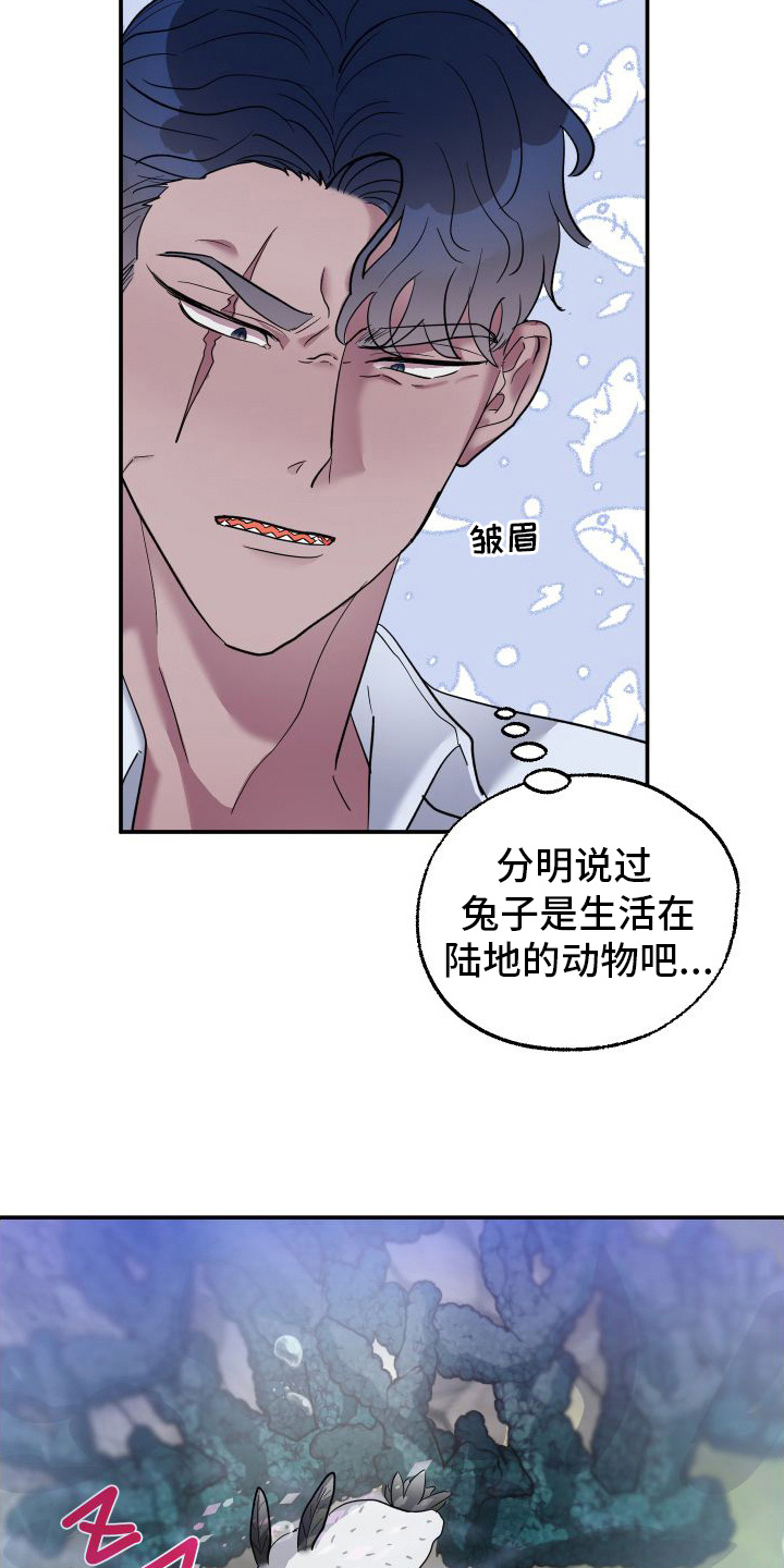 西柚《海兔新娘》漫画在线下拉_海兔新娘漫画浮云（下拉式阅读）