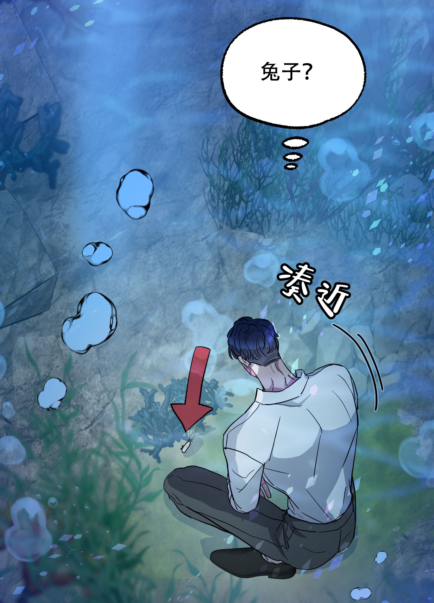西柚《鲨鱼的新娘》漫画在线下拉_鲨鱼的新娘漫画浮云（下拉式阅读）