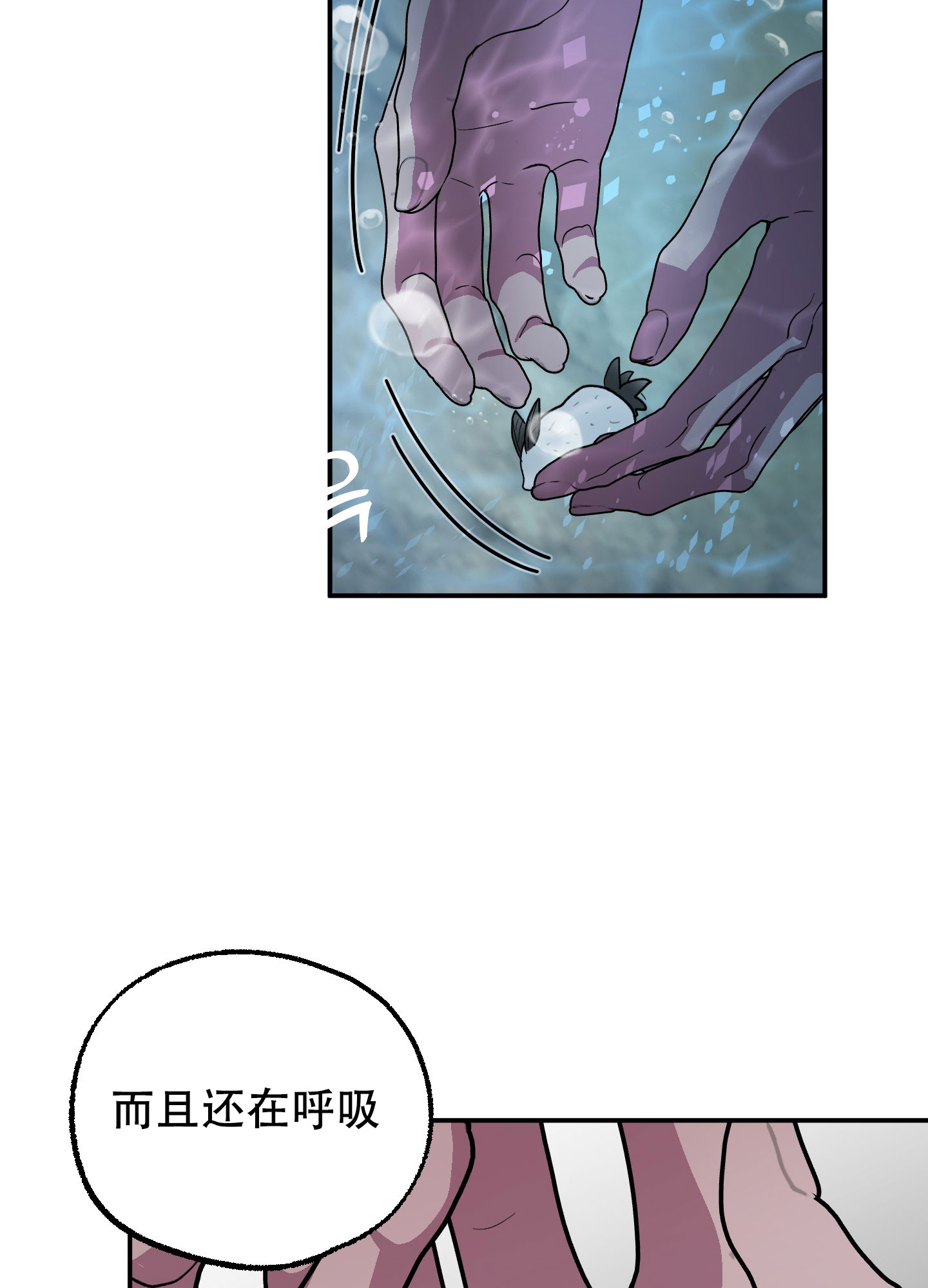 西柚《鲨鱼的新娘》漫画在线下拉_鲨鱼的新娘漫画浮云（下拉式阅读）