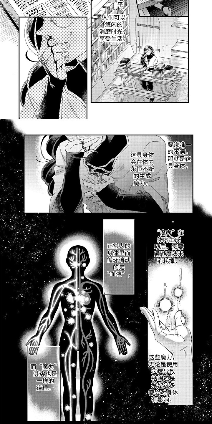 漫画《森林里的魔法师》在线完整版阅读_森林里的魔法师漫画（无弹窗）
