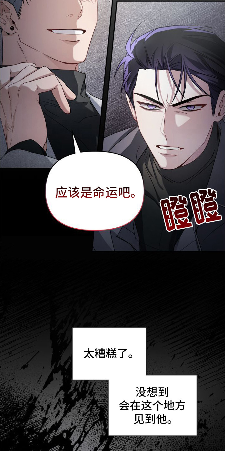 漫画《复仇指南》在线完整版阅读_复仇指南漫画（无弹窗）