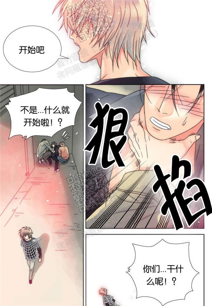 漫画《三方边界》在线阅读_食物链漫画（无弹窗）