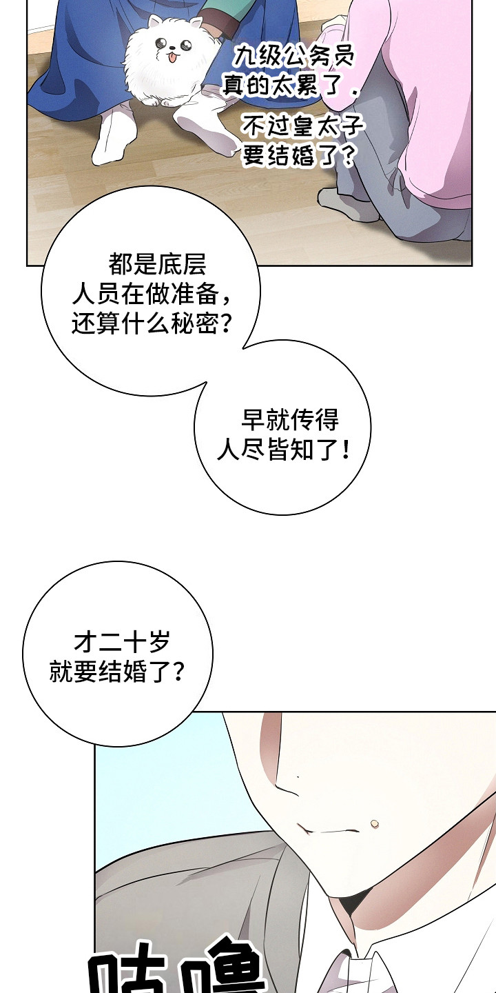 精选《我的太子妃》漫画下拉式阅读_汉化我的太子妃漫画