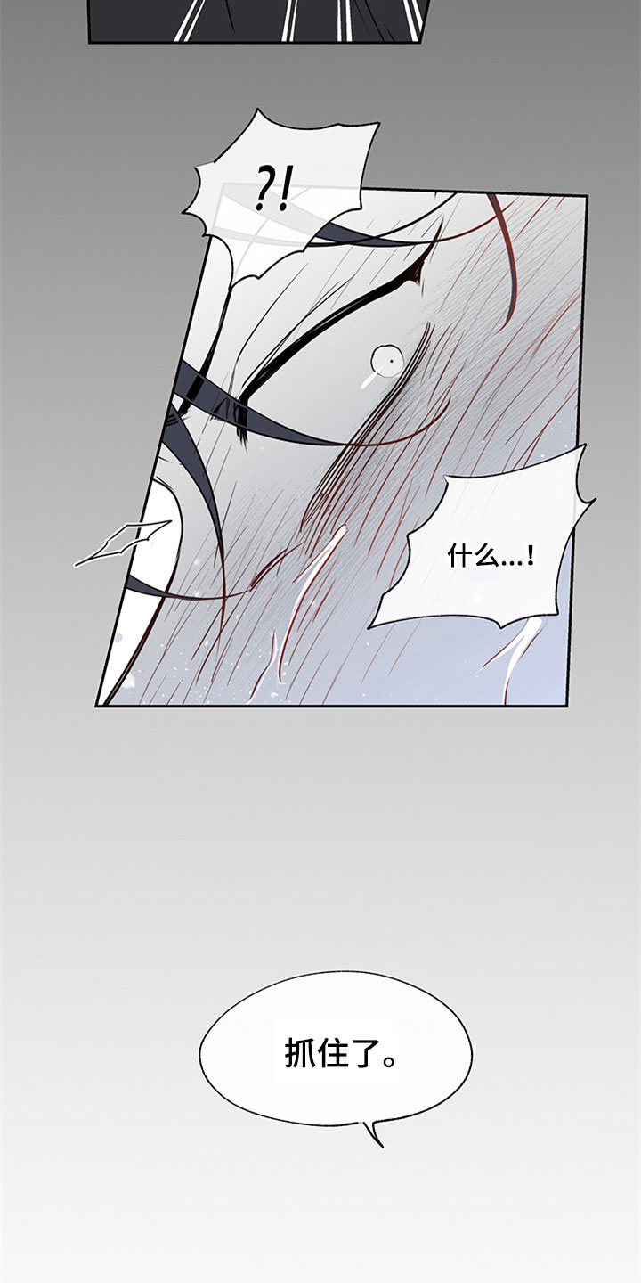 西柚《海之边境》漫画在线下拉_海之边境漫画浮云（下拉式阅读）