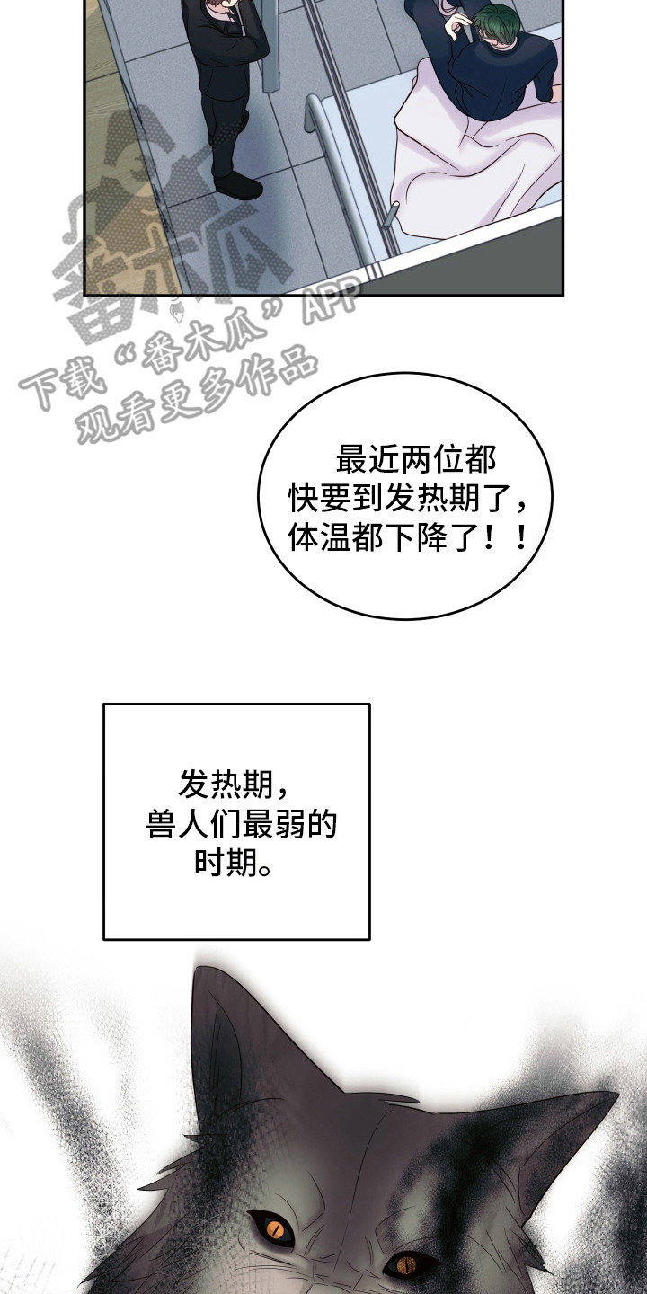 漫画《双蛇出洞》在线完整版阅读_双蛇出洞漫画（无弹窗）