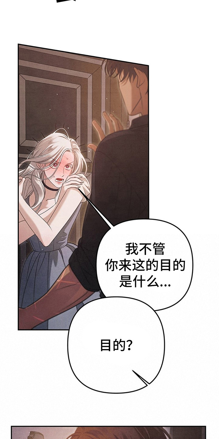 西柚《夺婚》漫画在线下拉_夺婚漫画浮云（下拉式阅读）