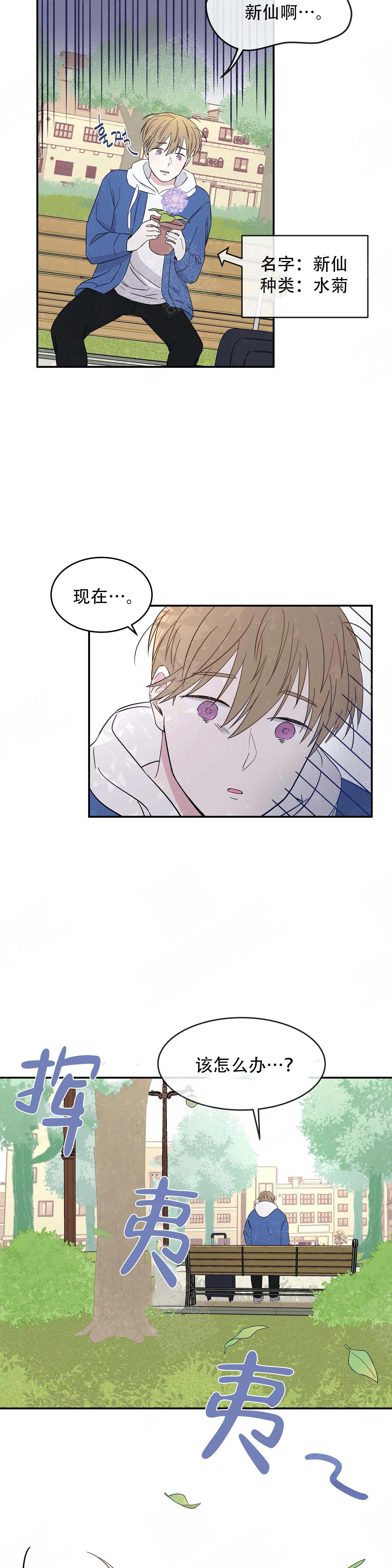 漫画《十次之约》在线完整版阅读_十次之约漫画（无弹窗）