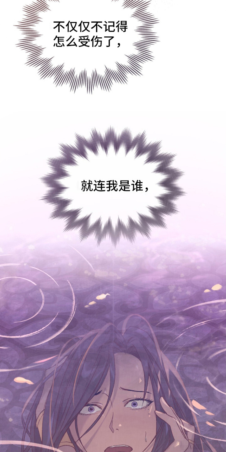 西柚《琥珀魅影》漫画在线下拉_琥珀魅影漫画浮云（下拉式阅读）