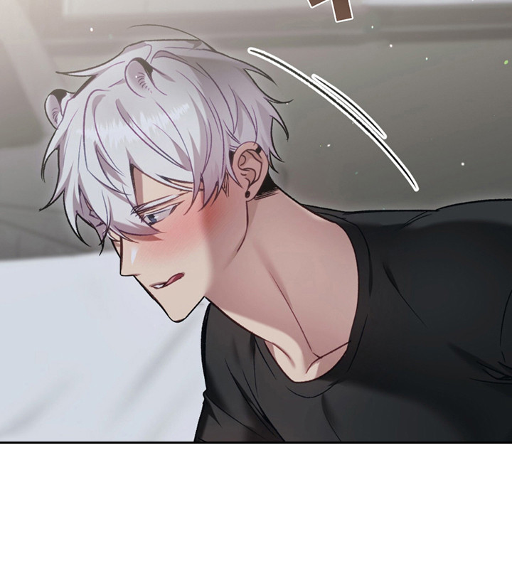 西柚《豹豹大狗狗》漫画在线下拉_豹豹大狗狗漫画浮云（下拉式阅读）