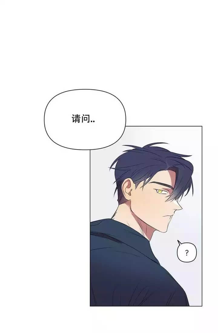 漫画《年上初体验》在线完整版阅读_年上初体验漫画（无弹窗）