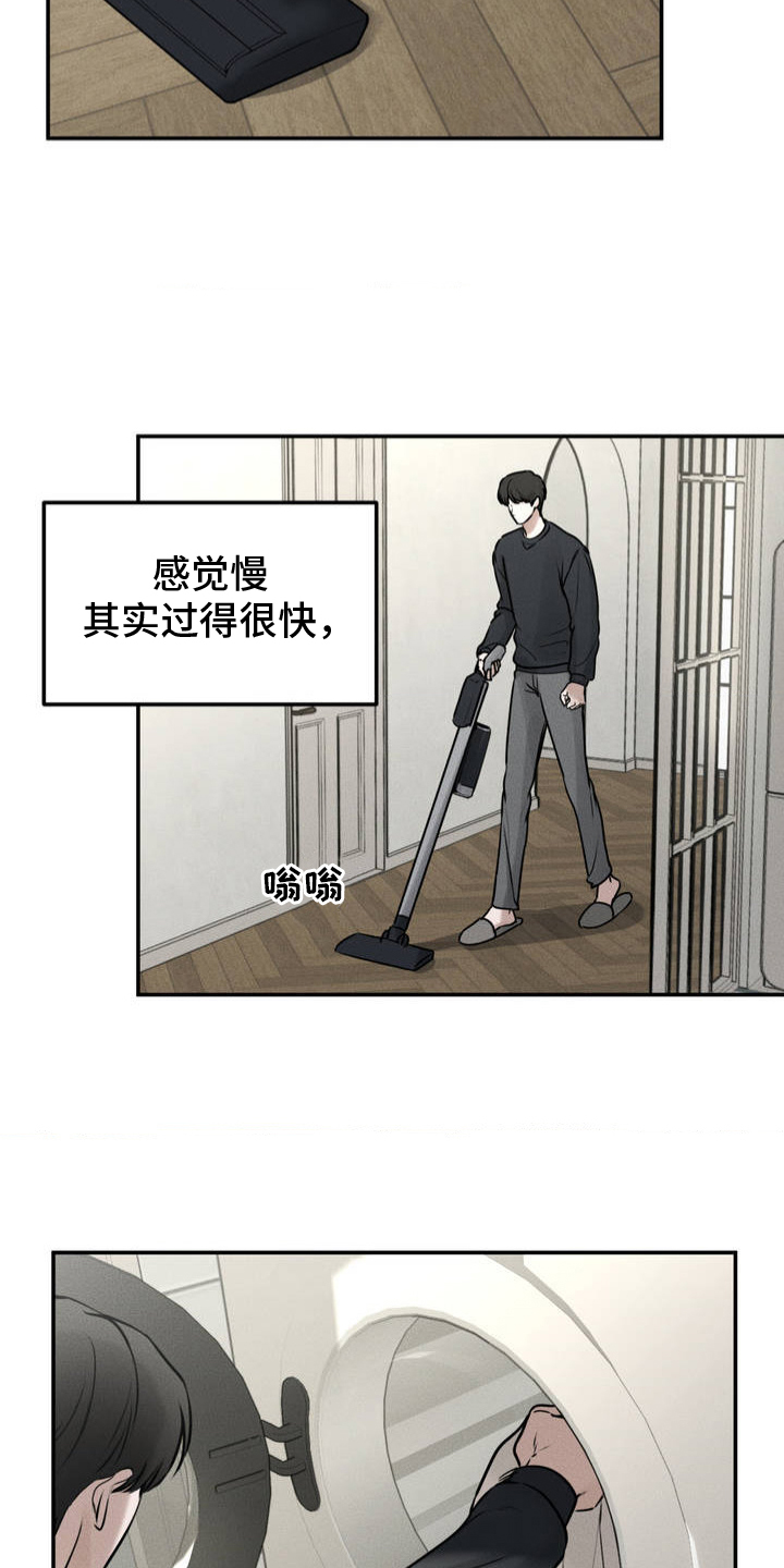 漫画《纯白的假象》在线完整版阅读_纯白的假象漫画（无弹窗）