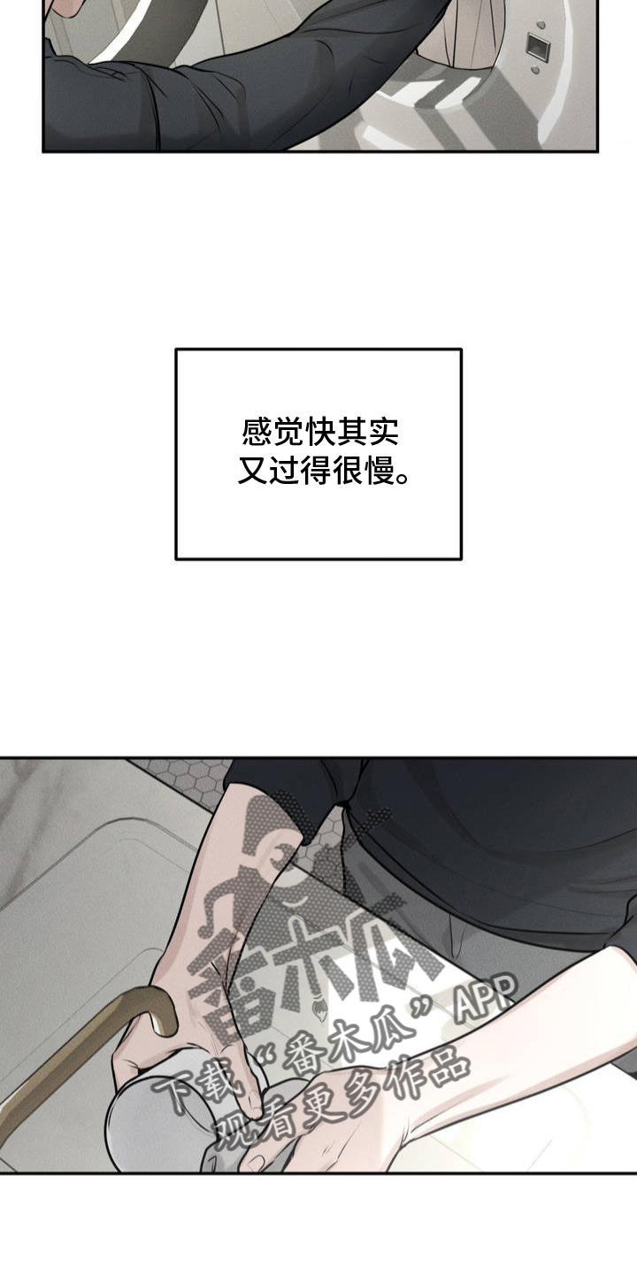 漫画《纯白的假象》在线完整版阅读_纯白的假象漫画（无弹窗）