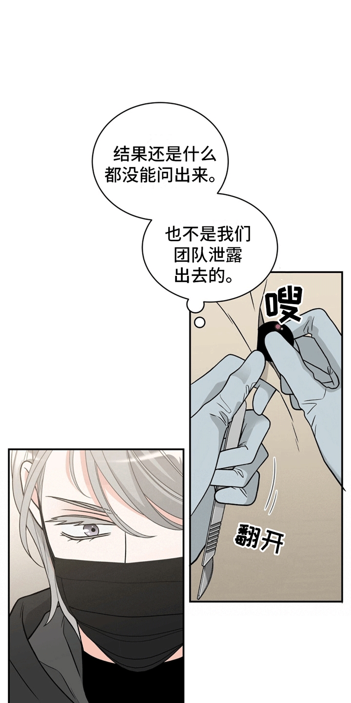 漫画《花样间谍》在线完整版阅读_花样间谍漫画（无弹窗）