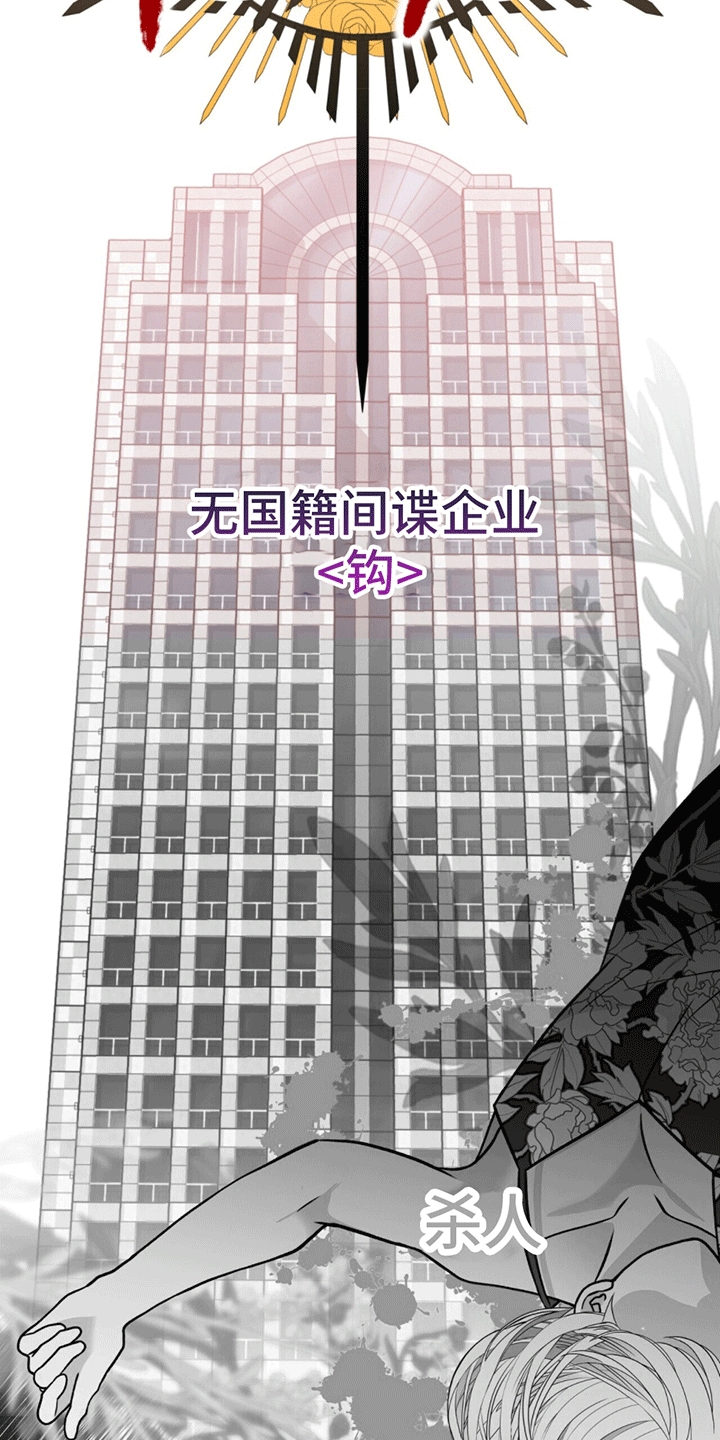 漫画《花样间谍》在线完整版阅读_花样间谍漫画（无弹窗）