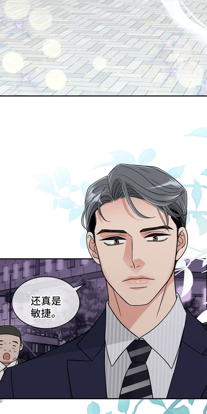 漫画《花样间谍》在线完整版阅读_花样间谍漫画（无弹窗）