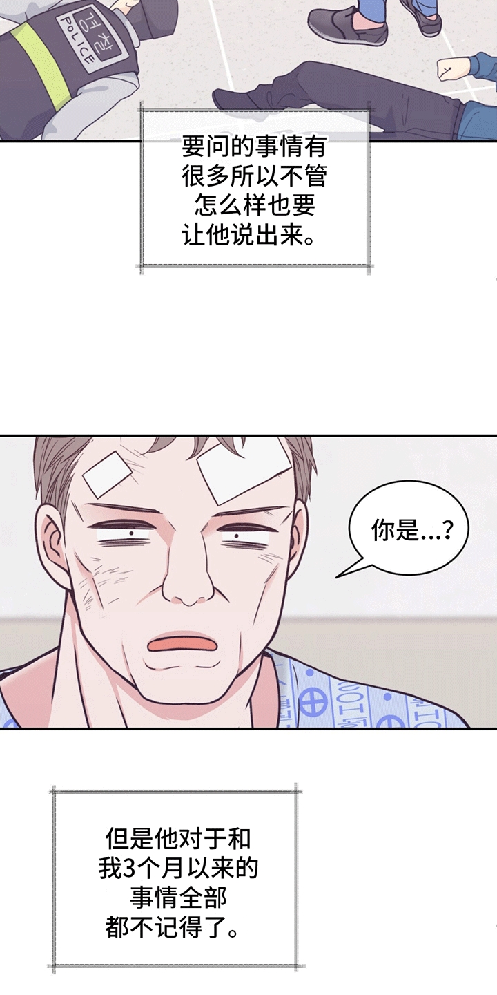 漫画《花样间谍》在线完整版阅读_花样间谍漫画（无弹窗）